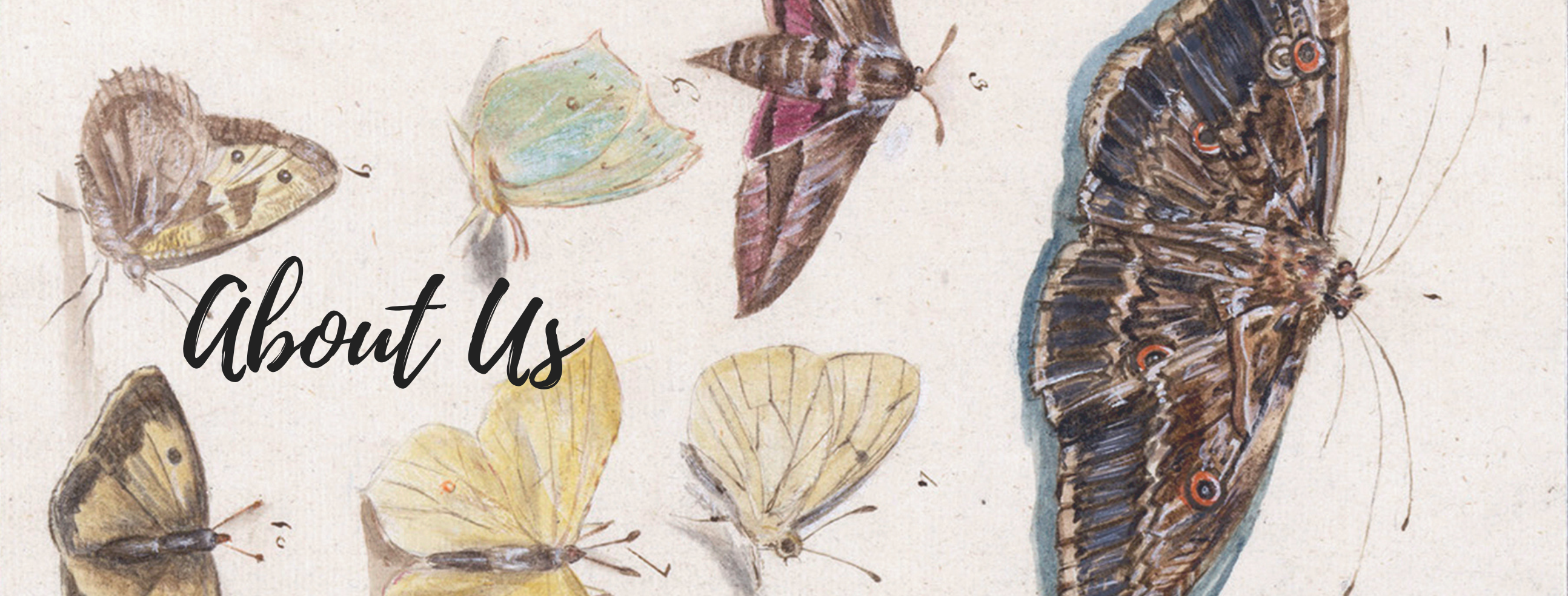 About Moth Learning – Moth Learning
